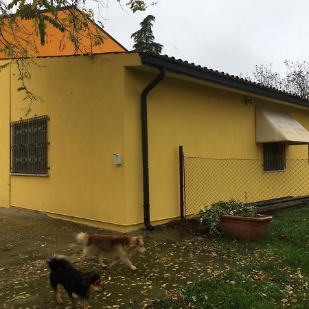 Green House Nogara Экстерьер фото